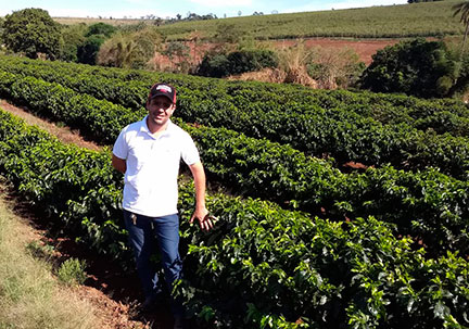 Consultoria Especializada